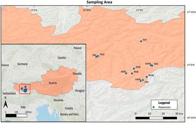 Ciliates in man-made mountain reservoirs